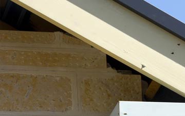 soffit repair Belle Vale